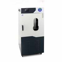 全自動草莓视频APP网站型號：DZF-6090C(90L)