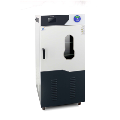 高真空全自動草莓视频APP网站DZF-6250DC(250L)