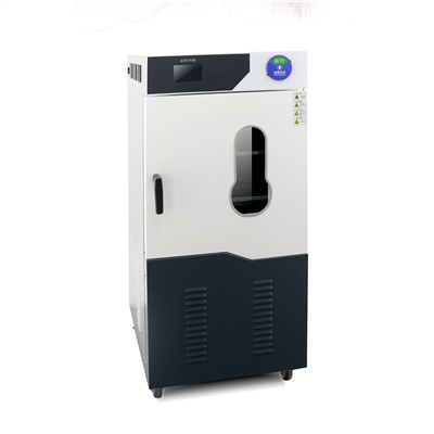 高真空全自動草莓视频APP网站 DZF-6500DC(500L)