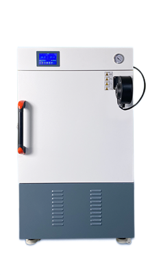 400℃草莓视频APP网站型號：DZF-6070A