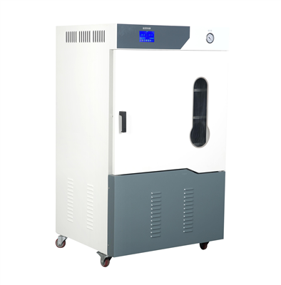 全自动草莓视频APP网站型号：DZF-6090C(90L)