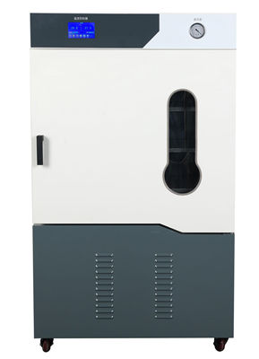 高真空全自动草莓视频APP网站DZF-6250DC(250L)